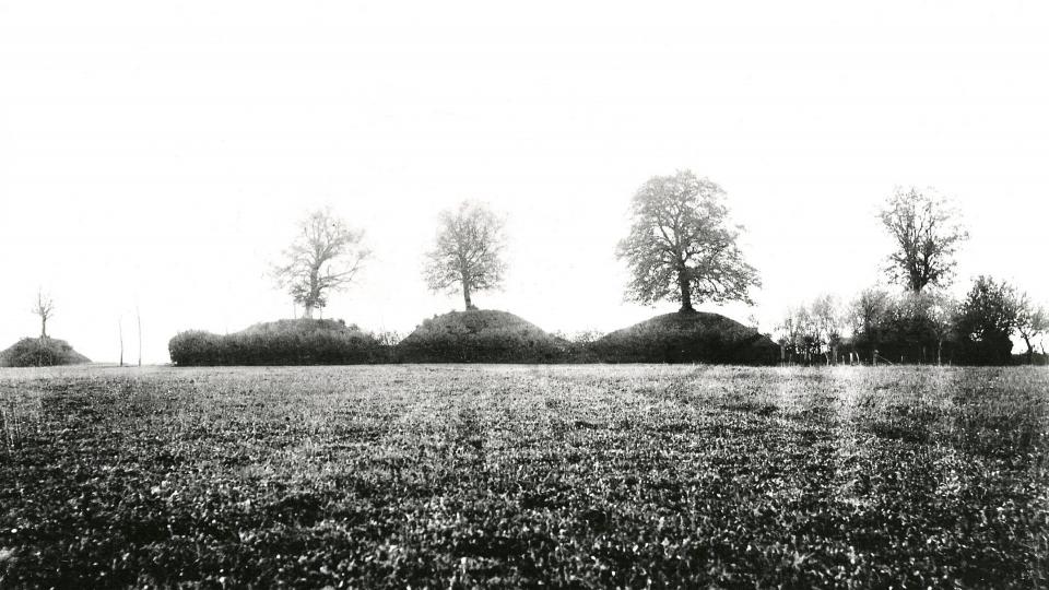 Les tumulus alignés d’Omal. Vue prise en 1902.