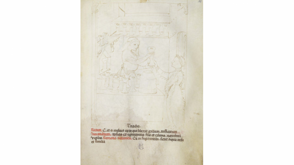 Page d'un ouvrage ancien, le Tacium sanitatis montrant la préparation d'un remède