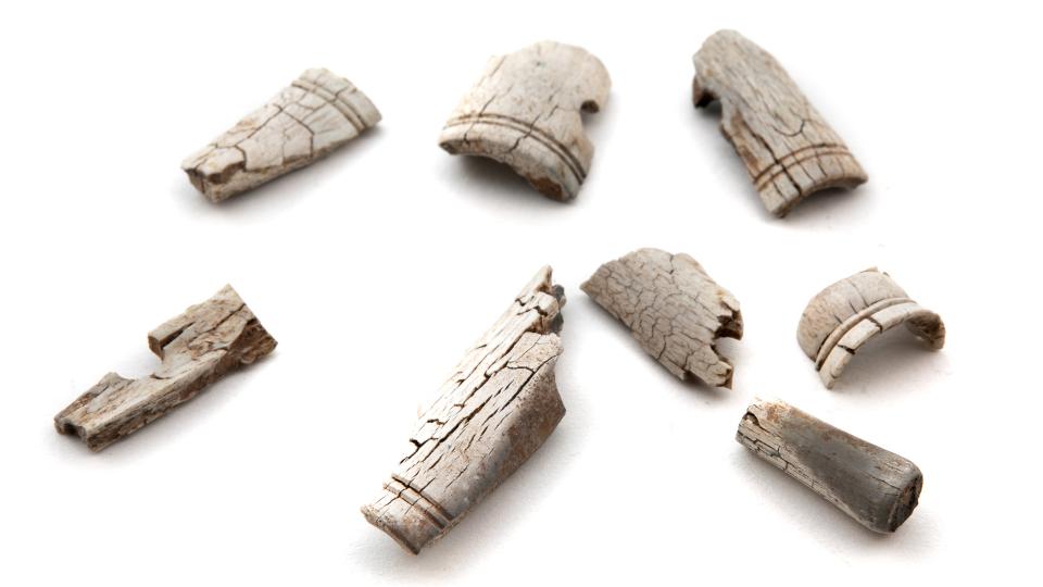 Fragments d’os appartenant à un système de charnières d’un coffre - Musée Grand Curtius Liège