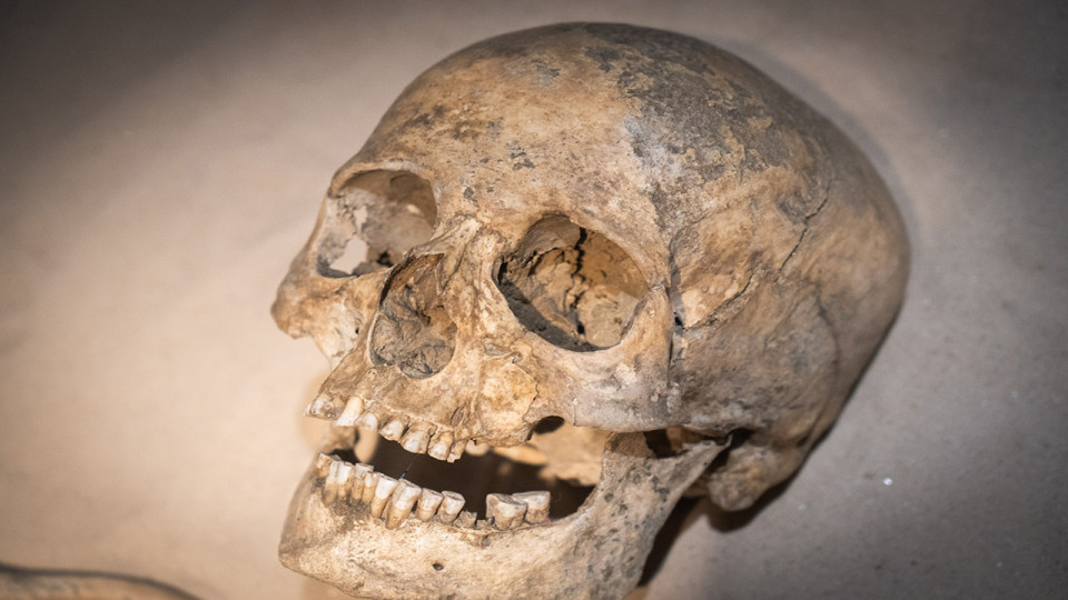 Tombeau d'un guerrier Franc - Musée Curtius - Musée de Liège