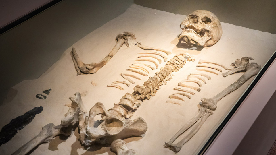 Tombeau d'un guerrier Franc - Musée Curtius - Musée de Liège