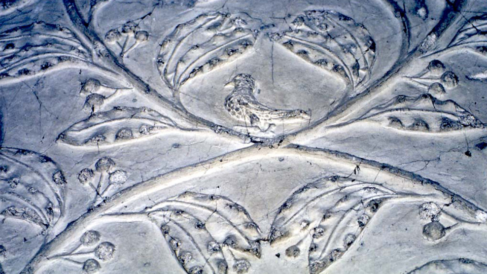 Lontzen, Walhorn, château Thor, cheminée stuquée et détails - Copyright F. Giot